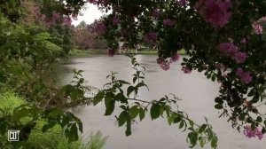 Умиротворение в Божьем присутствии _ Библия перед сном _ Relaxing