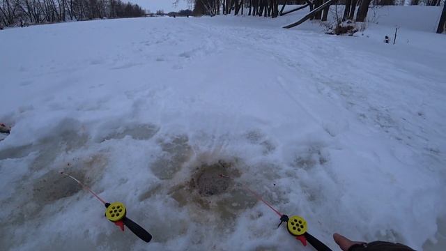 ПЛОТВА И КРАСНОПЕРКА в глухозимье. Рыбалка в феврале на реке. смотреть онлайн