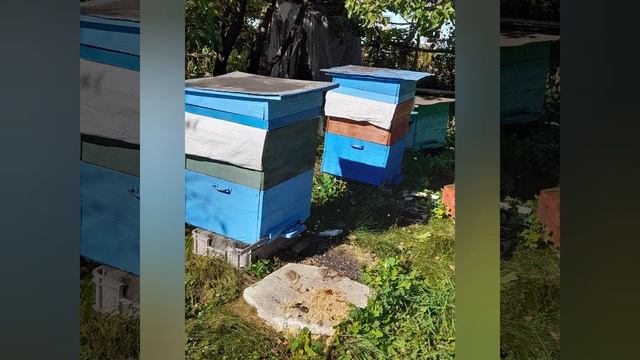 природа, насладитесь сказанными днями лета смотреть онлайн