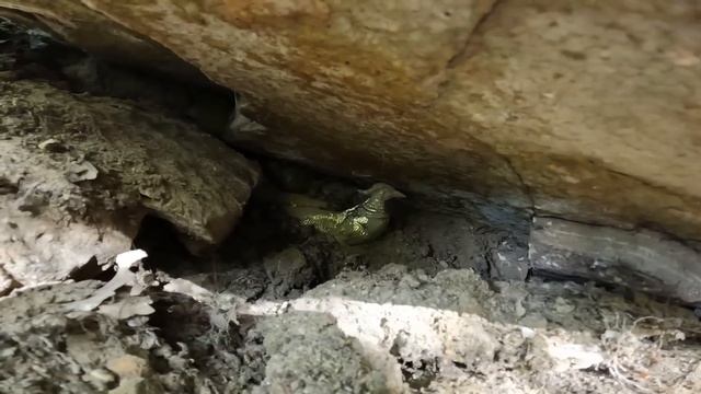 Tılsımlı Gözü Buldum, Korkmadım Defineyi Çıkarttım !!! смотреть онлайн
