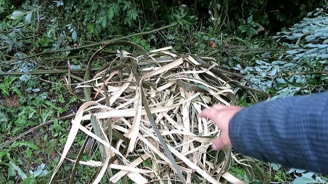 КРЕПКАЯ ОПОРА для вьющихся растений своими руками смотреть онлайн