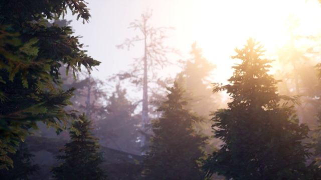 Morning Forest - Unreal Engine 4 смотреть онлайн