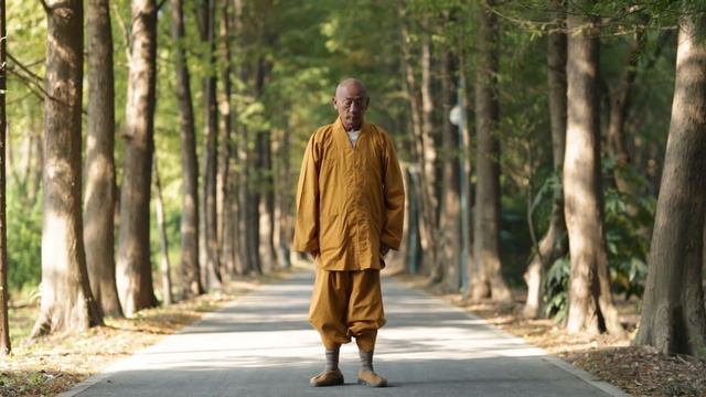 Shaolinsi Yijinjing (Shi Yan Hui Shifu) Correct))