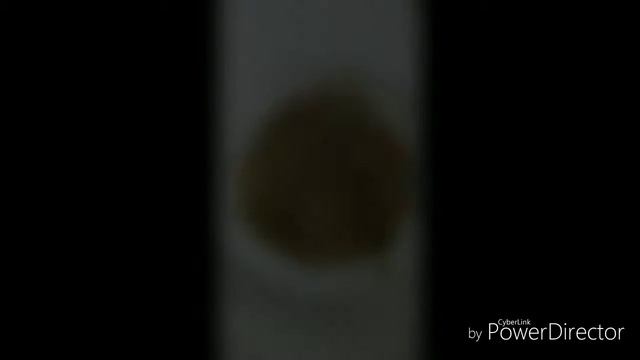 Котлеты из говядины и индейки на гриле /диетические котлеты /пп смотреть онлайн