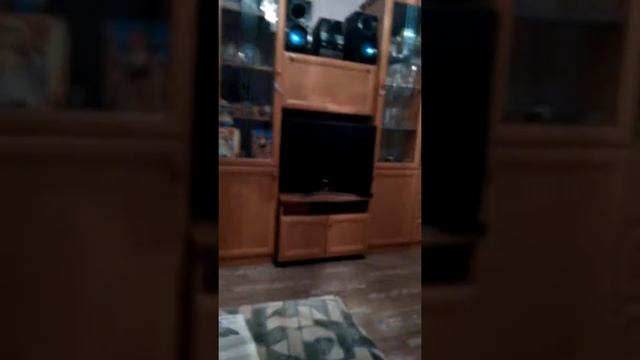 Вечер с бабушкой + скрытая камера, извините за некоторые моменты смотреть онлайн