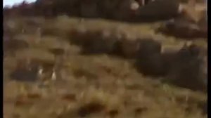 Служу Советскому Союзу.  Служба в Афганистане