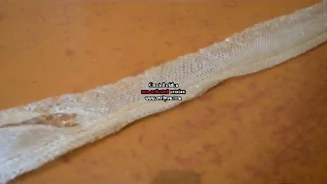 Выползок от питона. Часть - 1. смотреть онлайн