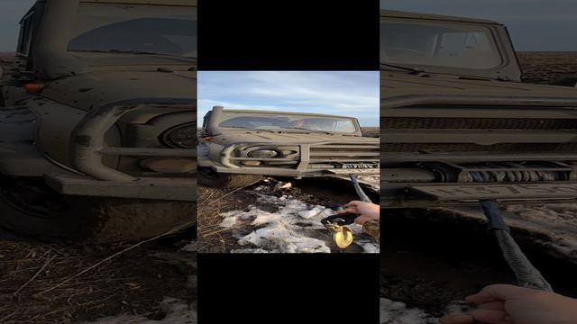 Выгуливаю зверя ! смотреть онлайн