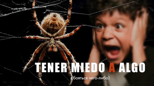 Устойчивые выражения с глаголом TENER в испанском языке смотреть онлайн