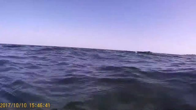что можно увидеть под водой на пляже Туниса 2017г смотреть онлайн