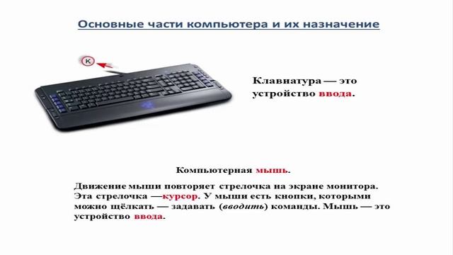 Основные части компьютера и их назначение смотреть онлайн