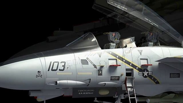 Grumman F-14 Tomcat in 3D смотреть онлайн