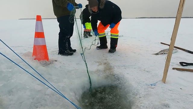 Коммерческая рыбалка в канаде, commercial fishing 4 чясть смотреть онлайн