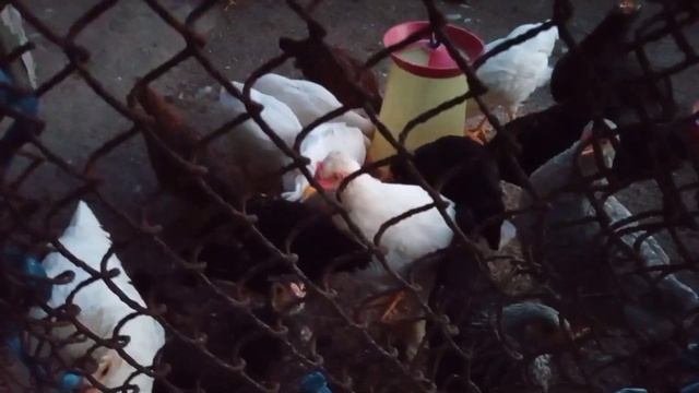 27 сентября. Опять праздник... смотреть онлайн