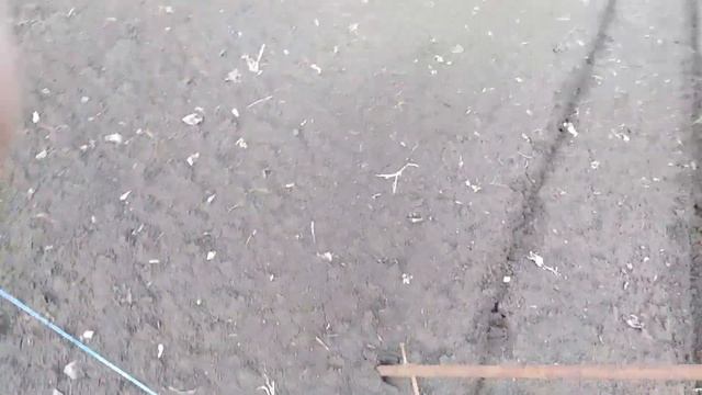 Маркер. Как расчертить свой участок под посадку смородины. смотреть онлайн