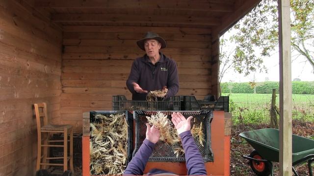 How to propagate Polygonatum | Solomon's Seal смотреть онлайн