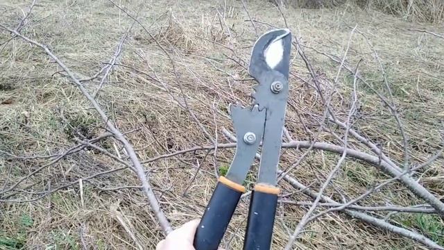 Какой выбрать? Сучкорез Честный обзор и сравнение Ремонт когда не режет Fiskars PowerGear LX94 смотреть онлайн
