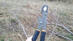 Какой выбрать? Сучкорез Честный обзор и сравнение Ремонт когда не режет Fiskars PowerGear LX94