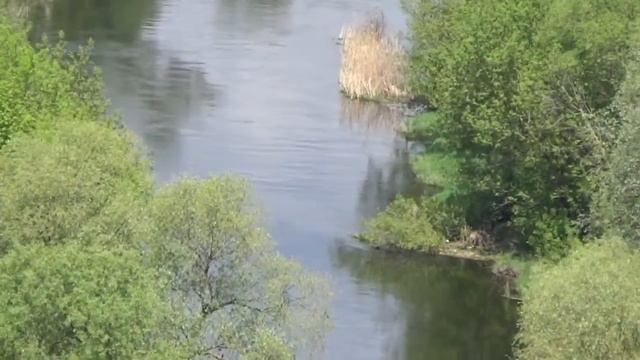 Дивногорье смотреть онлайн