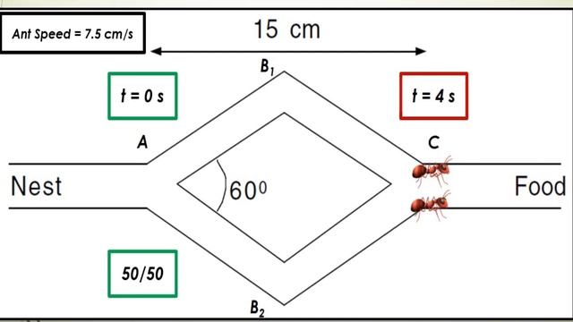 Ant Colony Optimization смотреть онлайн