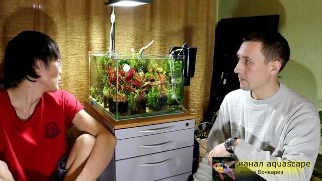 запуск аквариума часть 1