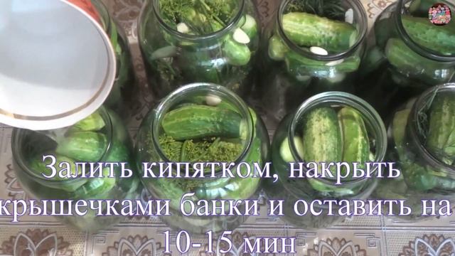 Обалденные маринованные огурцы без стерилизации Бабушкин рецепт смотреть онлайн