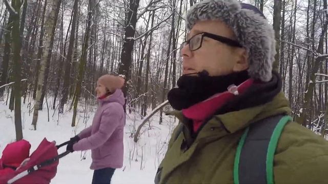 Проехали по МЦК и увидели СОБАЧЬЮ УПРЯЖКУ в Лосиноостровском парке смотреть онлайн