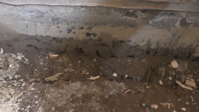 [Автономия ЛТ]: устройство пола в доме из бруса и проблема с талыми водами (вып.10) смотреть онлайн