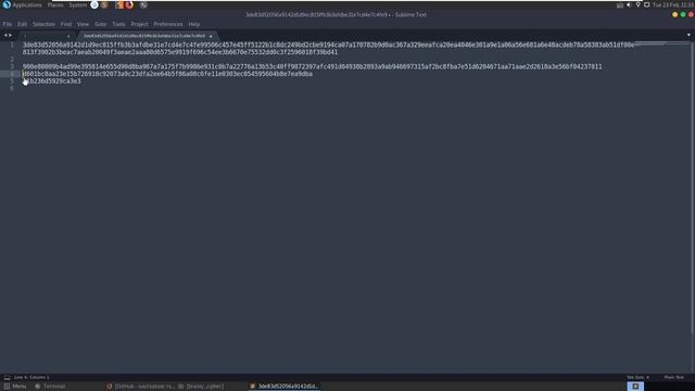Brainy's Cipher [easy]: HackTheBox Crypto Challenge (RsaCTFTool) смотреть онлайн