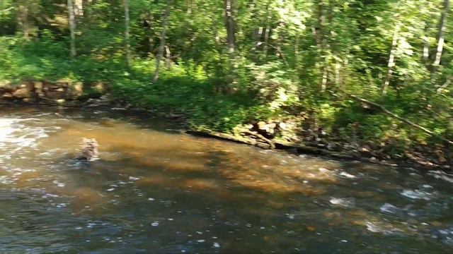 Водопад Падун, Вологодская область (2021.06.13) смотреть онлайн