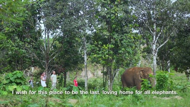 Phuket Elephant Sanctuary