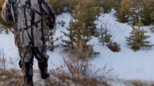 Охота на косулю. Барс 4-1 кал. 223 rem