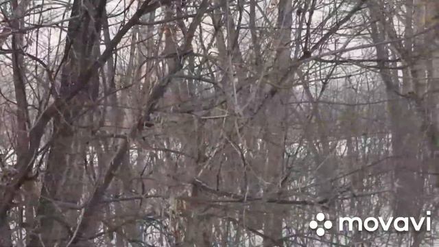 г. Усть Каменогорск река - Иртыш . смотреть онлайн
