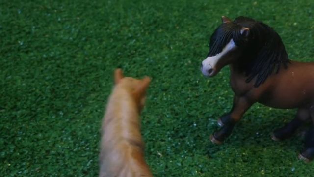 Типы Пони. | Horsek ? смотреть онлайн