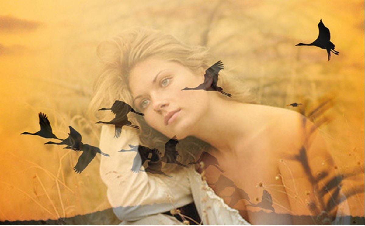 А я то думал ВЫ счастливая... смотреть онлайн