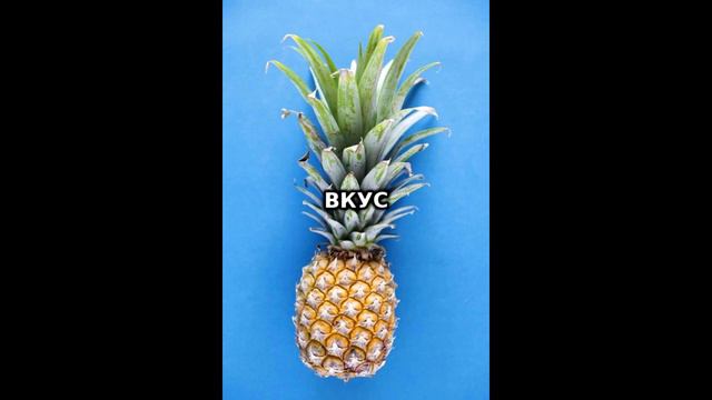 Suvorov - Вкус смотреть онлайн