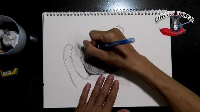 Как нарисовать улыбающуюся собаку во сне карандашом draw a smiling dog while sleeping with a pencil смотреть онлайн