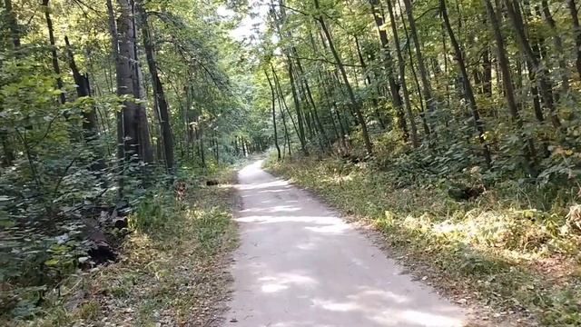 Ленинский лесхоз Арбековский лес смотреть онлайн