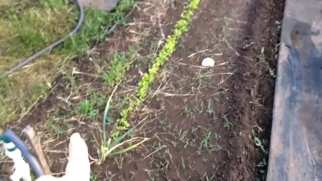 Покупки/сделали лавки/мечты сбываются /дачные дела смотреть онлайн