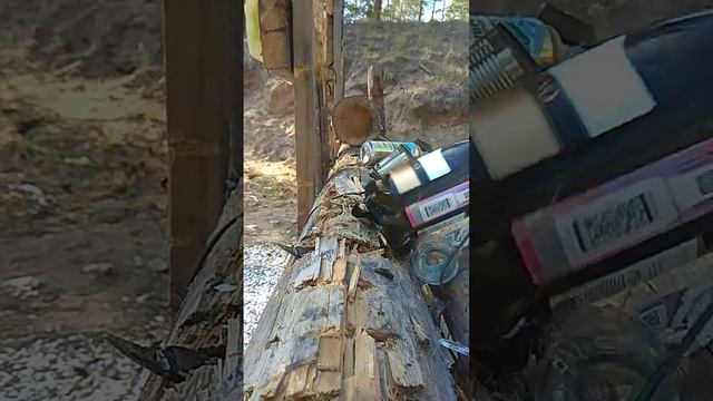 Hatsan 125, Jsb 0.87g 4.5mm, 30m смотреть онлайн