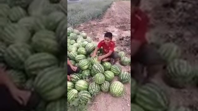 Суруд барои бачои гариб смотреть онлайн
