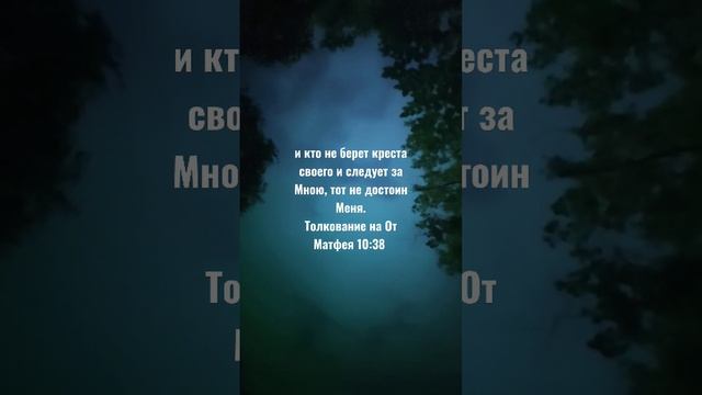 и кто не берет креста своего и следует за Мною, тот не достоин Меня.Толкование на От Матфея 10:38