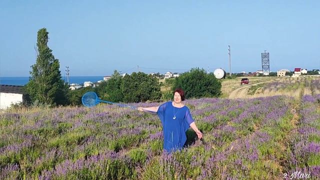 Лаванда смотреть онлайн