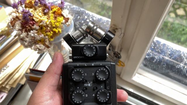 Zoom XYH-6 Capsule | Quick Review смотреть онлайн