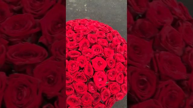 Коробка из 101 роз 17000₽ с доставкой в Москве и Мо смотреть онлайн
