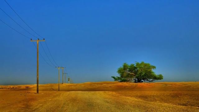 Мишари Рашиди Очень красивый чтение Корана смотреть онлайн