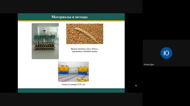 Оценка влияния гамма излучения на радиочувствительность зернового точильщика