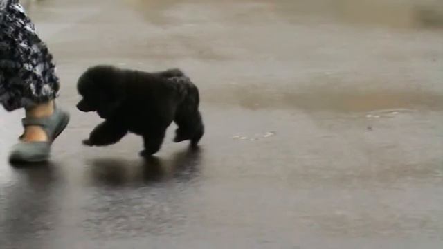 Эрик видео 2 смотреть онлайн