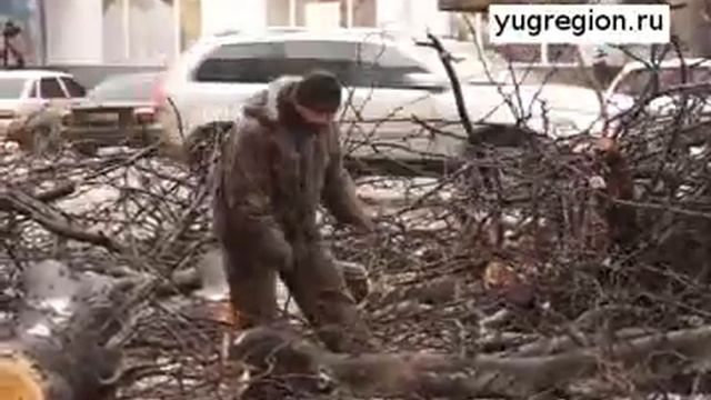 В Ростове на «маршрутку» упало дерево смотреть онлайн