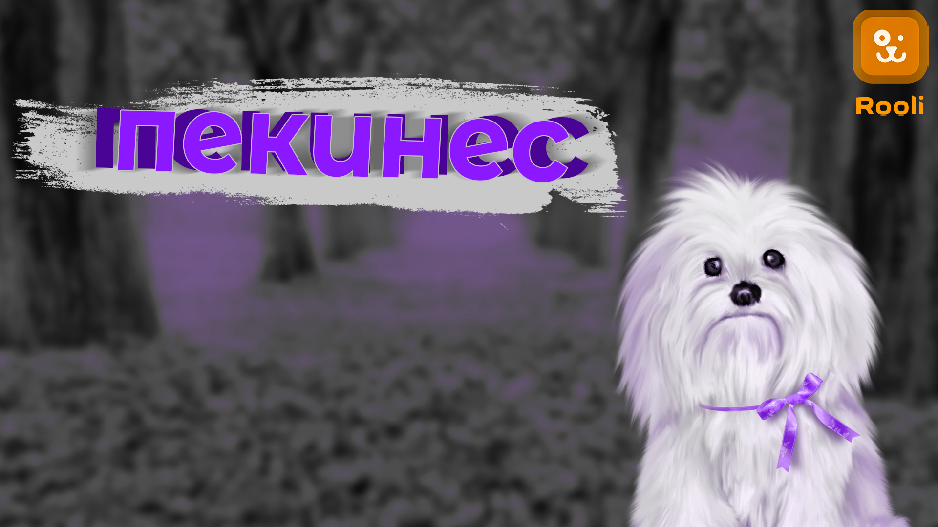 Пекинесы: История и Происхождение породы смотреть онлайн